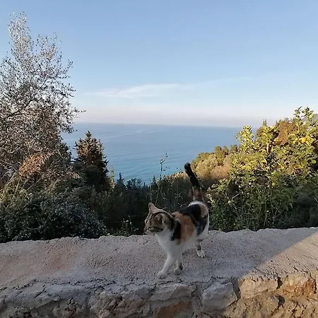 Ioli Breathtaking View & Sunset